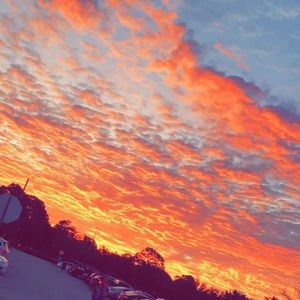 Meet your Posher, Ella